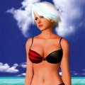 Girls+of+Gaming%0D%0AVolume+1%0D%0A%0D%0ALisa+%26amp%3B+Christie+from+Dead+or+Alive+Xtreme+Beach+Volleyball+for+the+Xbox%0D%0A