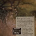 PC_World_1985-09_015