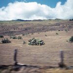 slidesGoodwill_305b_1975-07