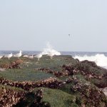 slidesGoodwill_328b_1977-09