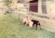 1974-06_08